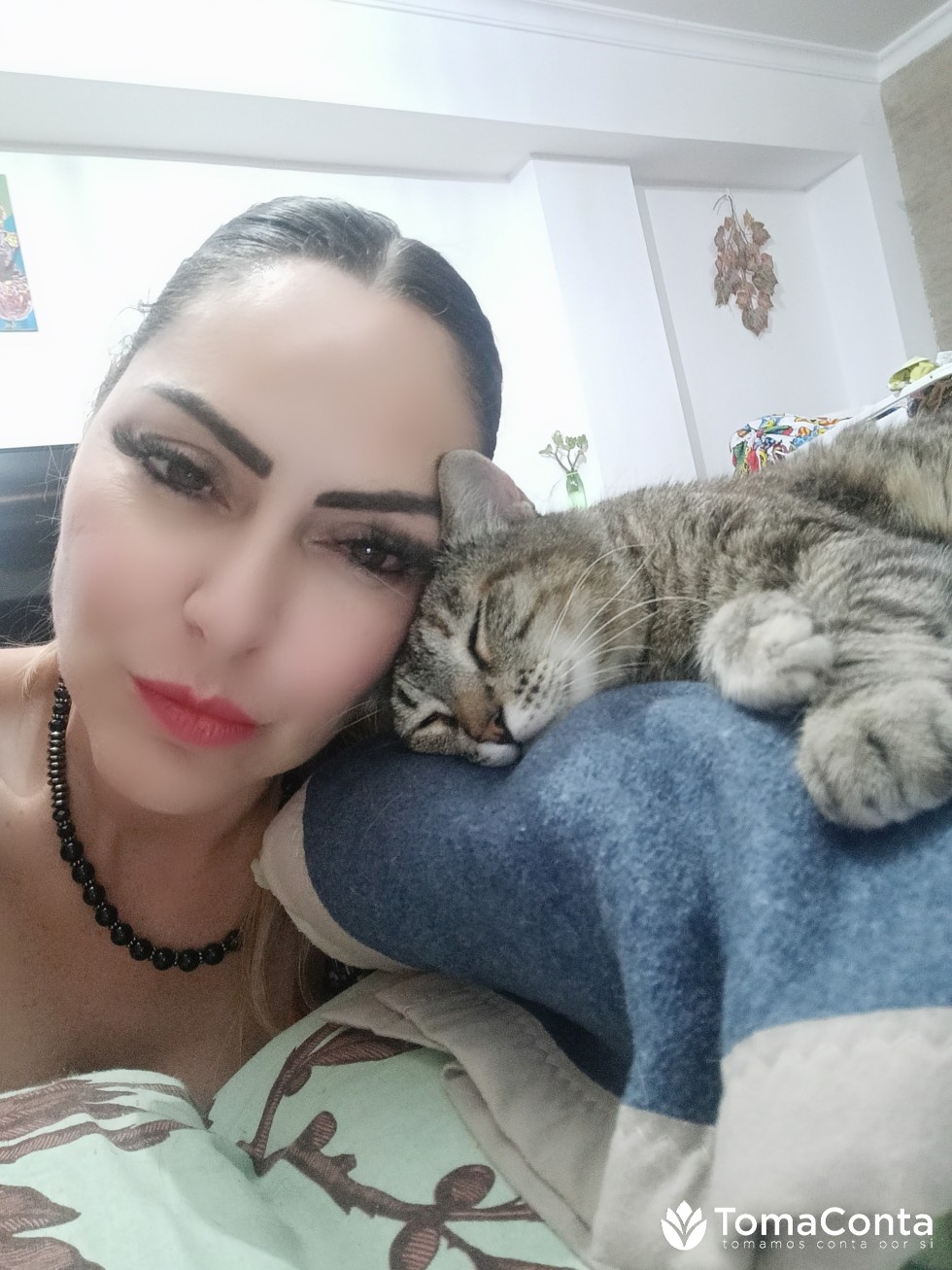 Pet Sporting/ friendlly de cães, gatos e pássaros.