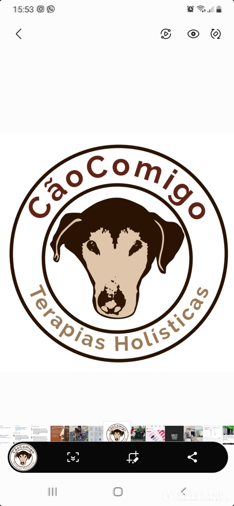 Estadia familiar,  petsitting e dogwalking