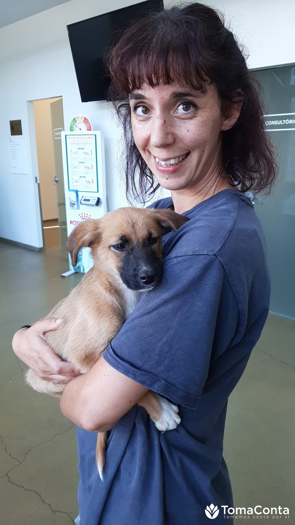 Cuido dos seus amigos de 4 patas em sua casa