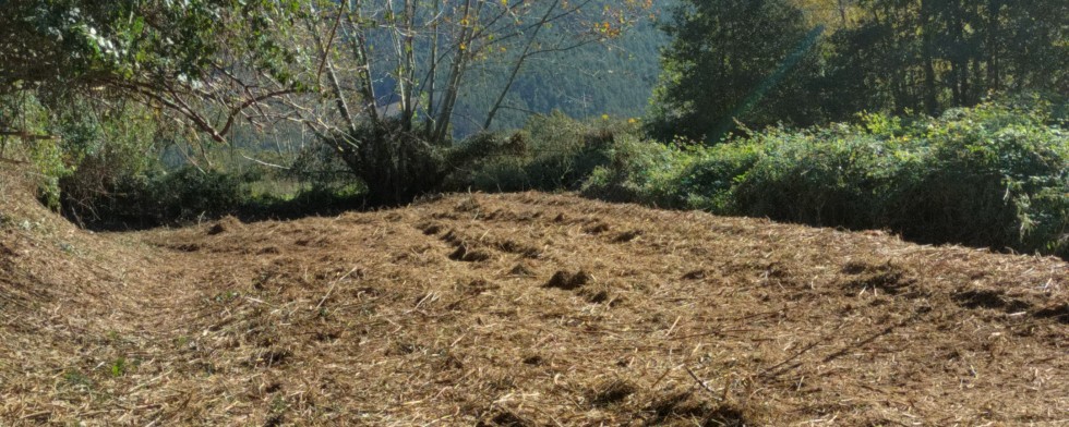 limpeza de terrenos e montes