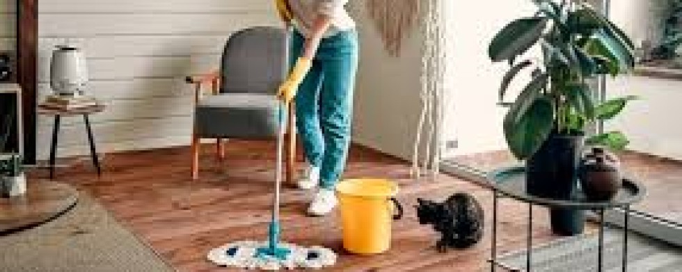 Empregada de limpeza geral
