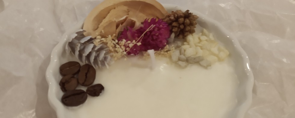 Serviços Domésticos