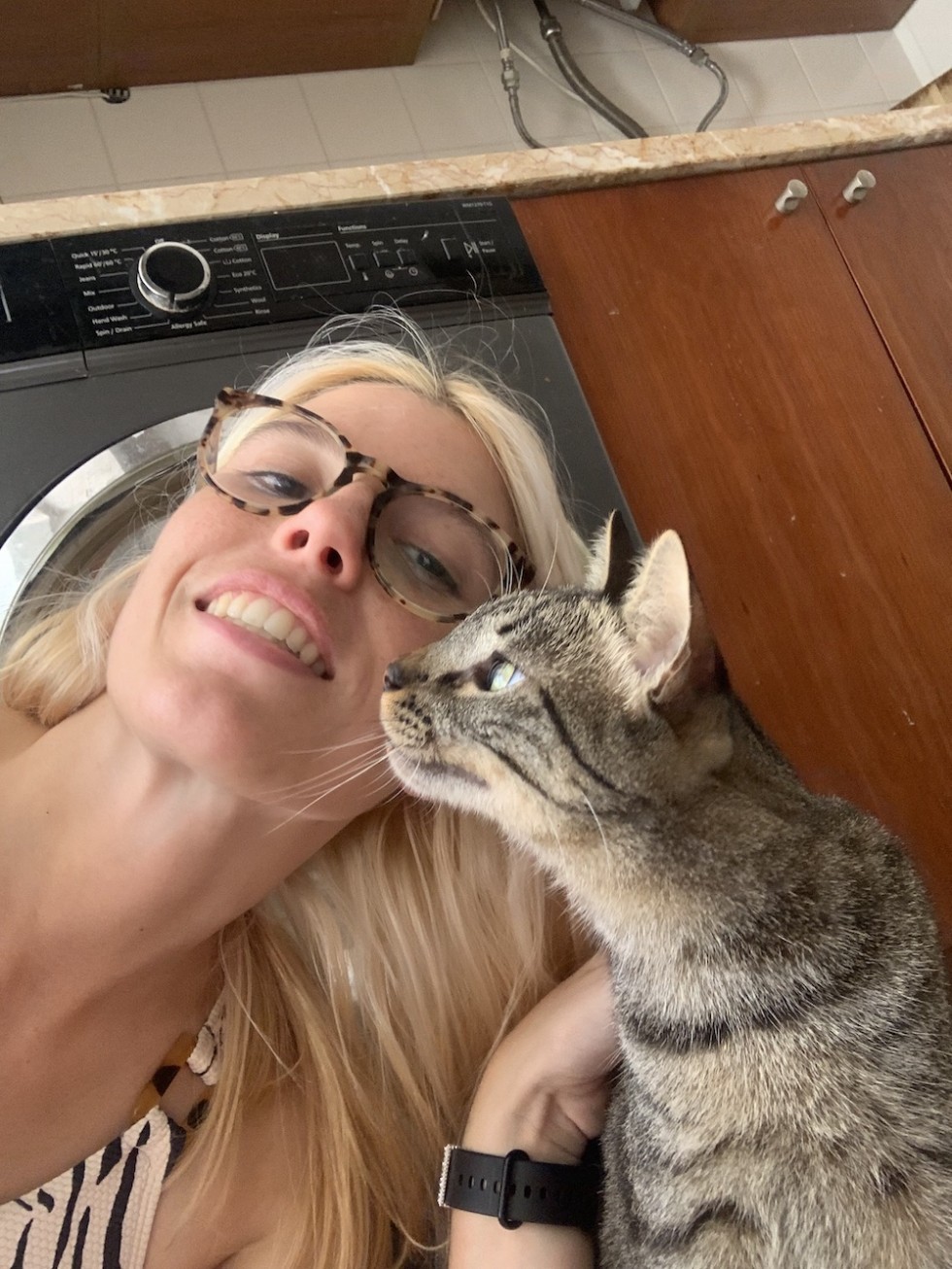O seu gato precisa de companhia? De alguém que lhe dê água, comida e mude a areia? Conte comigo!