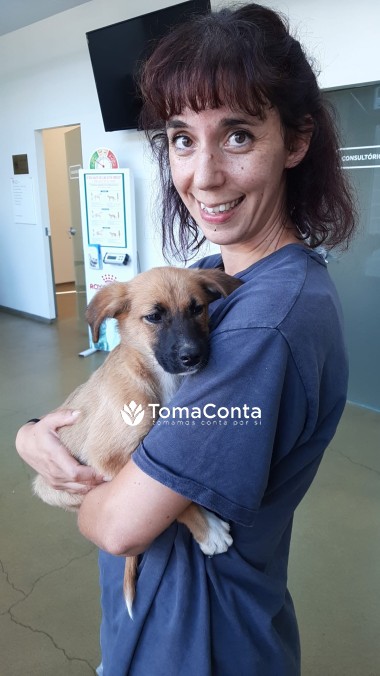 Cuido dos seus amigos de 4 patas em sua casa