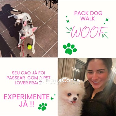 Passeio de cães - Dog Walker