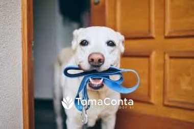 Apaixonado por dogs