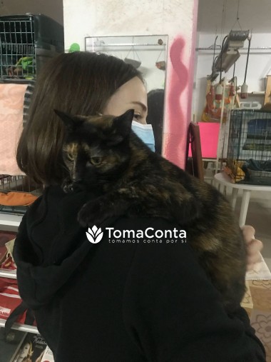 Pet Sitter e Dog Walker - PenaPaws Pet Sitting