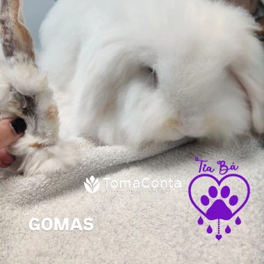 Tia Bá- Porque ELES são FAMÍLIA 💜