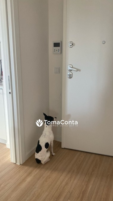 Faço Pet Sitting