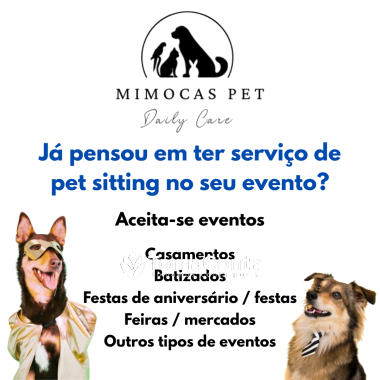 Pet Sitting / Dog Walking / Plant Sitting / Pet Táxi