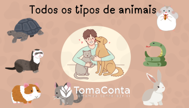 Pet Sitting