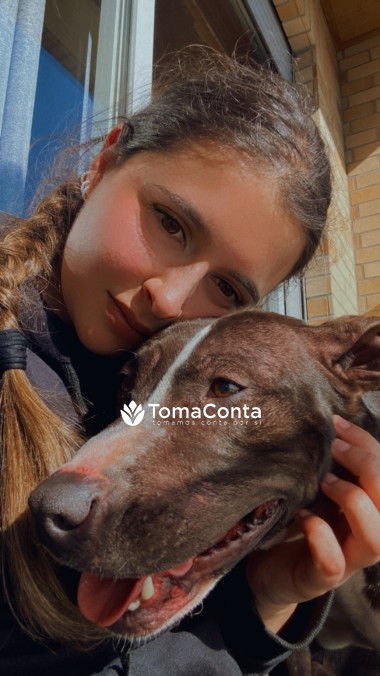 Dog Sitting