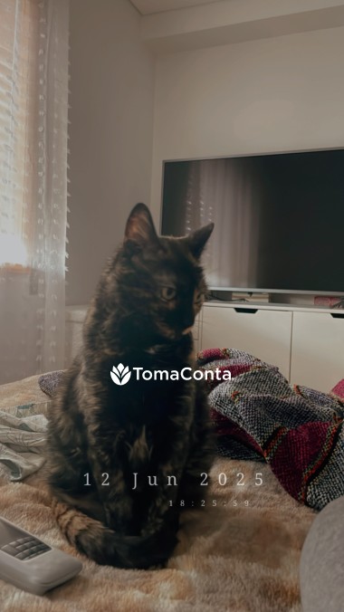 Petsitting