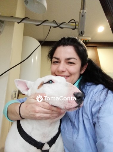 Petsitting - Cães, gatos, aves, roedores