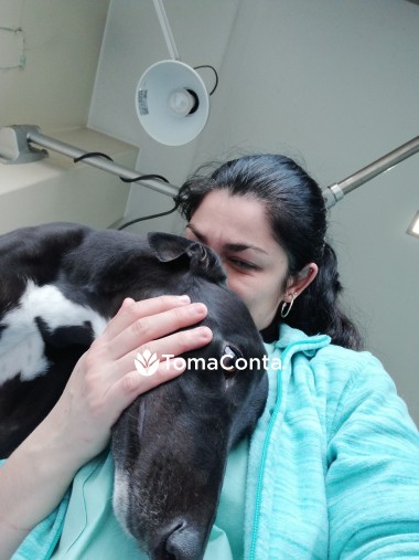 Petsitting - Cães, gatos, aves, roedores