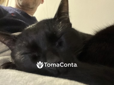 Pet Sitting - Guto Romano - Braga