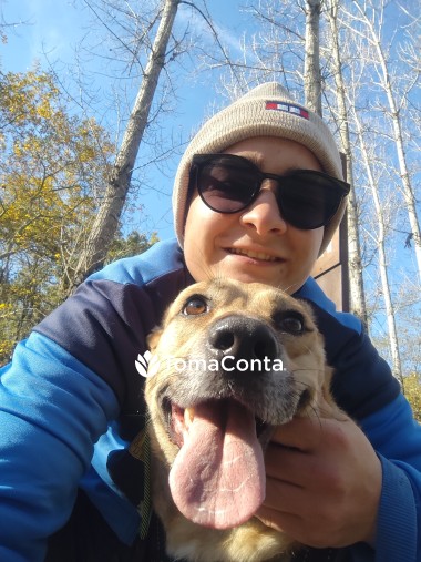 Pet Sitting | Dog Walker | Pet táxi