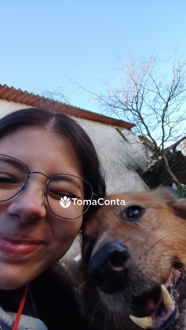 Petsitting e passeio