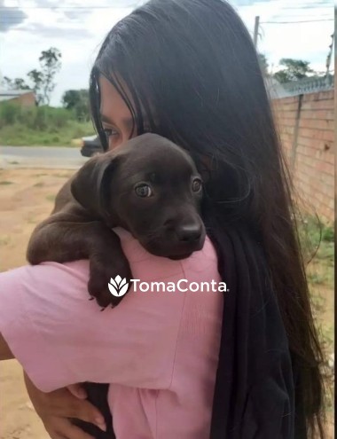 PET SITTING EM BRAGA E PROXIMIDADES