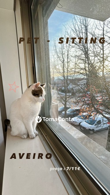 Petsitter Iniciante