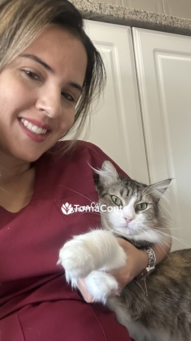 Médica Veterinária e Pet Sitter