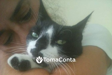 Bigodes felizes
