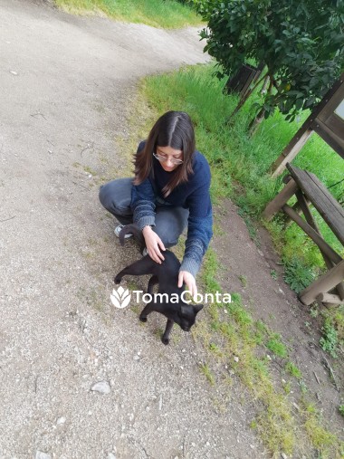 Care for pets in Lisbon! ≽^•⩊•^≼