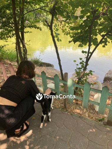 Care for pets in Lisbon! ≽^•⩊•^≼