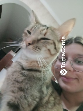 Care for pets in Lisbon! ≽^•⩊•^≼