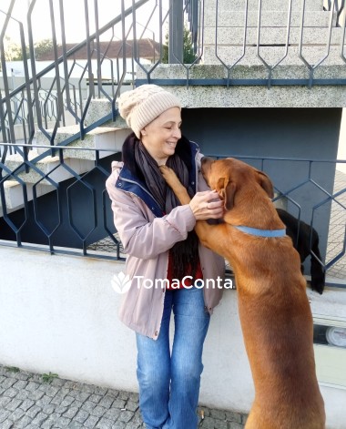 Dog Sitting profissional com enfoque no bem-estar e comportamento canino