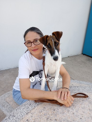 SERVIÇO DOG WALKING