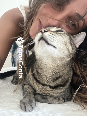 Pet Sitting Almada e Lisboa
