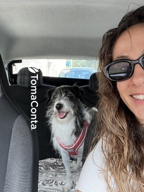 Pet Sitting Almada e Lisboa