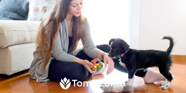 SERVIÇO DOG SITTING com dedicação e presença