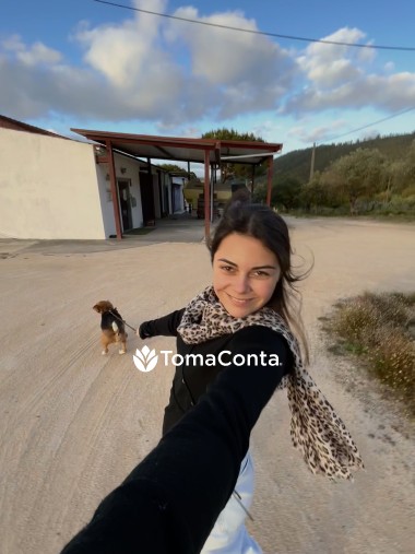 Santa Cruz _ DogWalking🦮