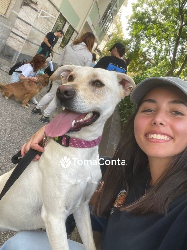 PetSitter Cães e Gatos | Setúbal e Lisboa