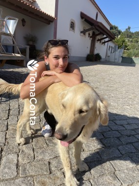 Dog sitting and dogwalking - Fabipetcare