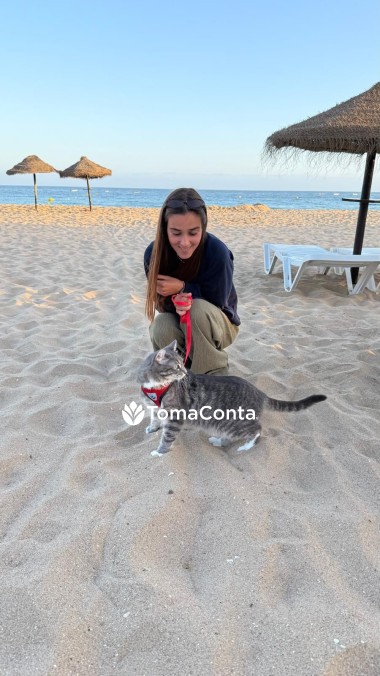 Pet Sitting, cat and dog