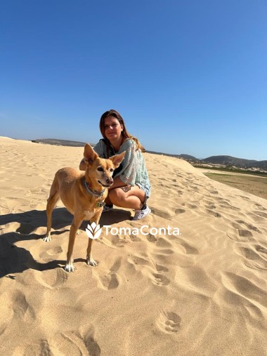 Pet Sitting e Passeios