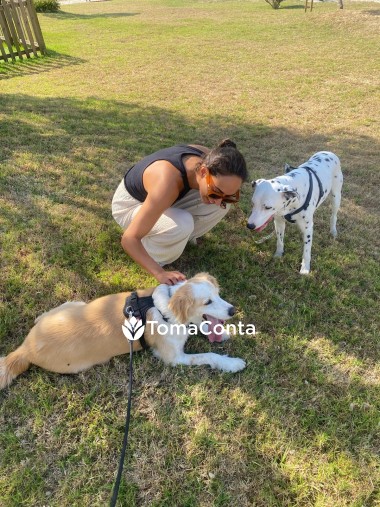 Petsitting em Mafra, Ericeira e Sintra – Cuido do seu cão como família