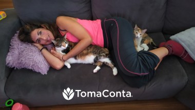 Gato ou cão cuidarei com o coração