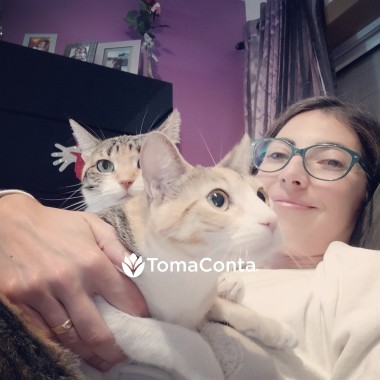 Gato ou cão cuidarei com o coração