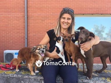 Animals Inn Aveiro - Enquanto não estás, estamos nós!