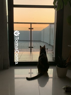 Pet Sitting Torres Vedras