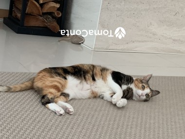 Pet Sitting Torres Vedras