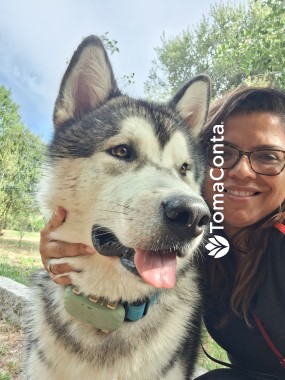 Dog Walking & Pet Sitting