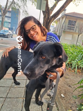 Dog Walking & Pet Sitting
