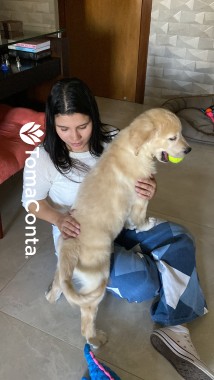 Pet sitting