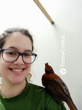 Pet Sitting