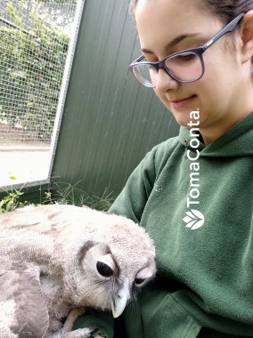 Pet Sitting